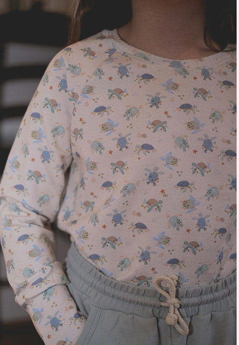 Raglan Pullover - Sea Turtle
