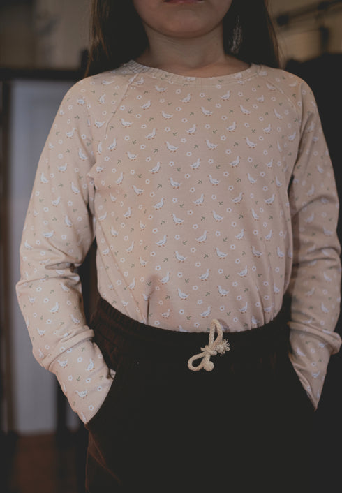 Raglan Pullover - Ducks
