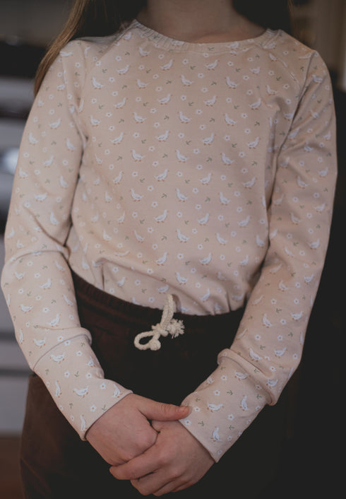 Raglan Pullover - Ducks