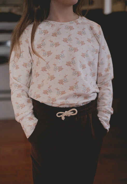Raglan Pullover - Rabbit