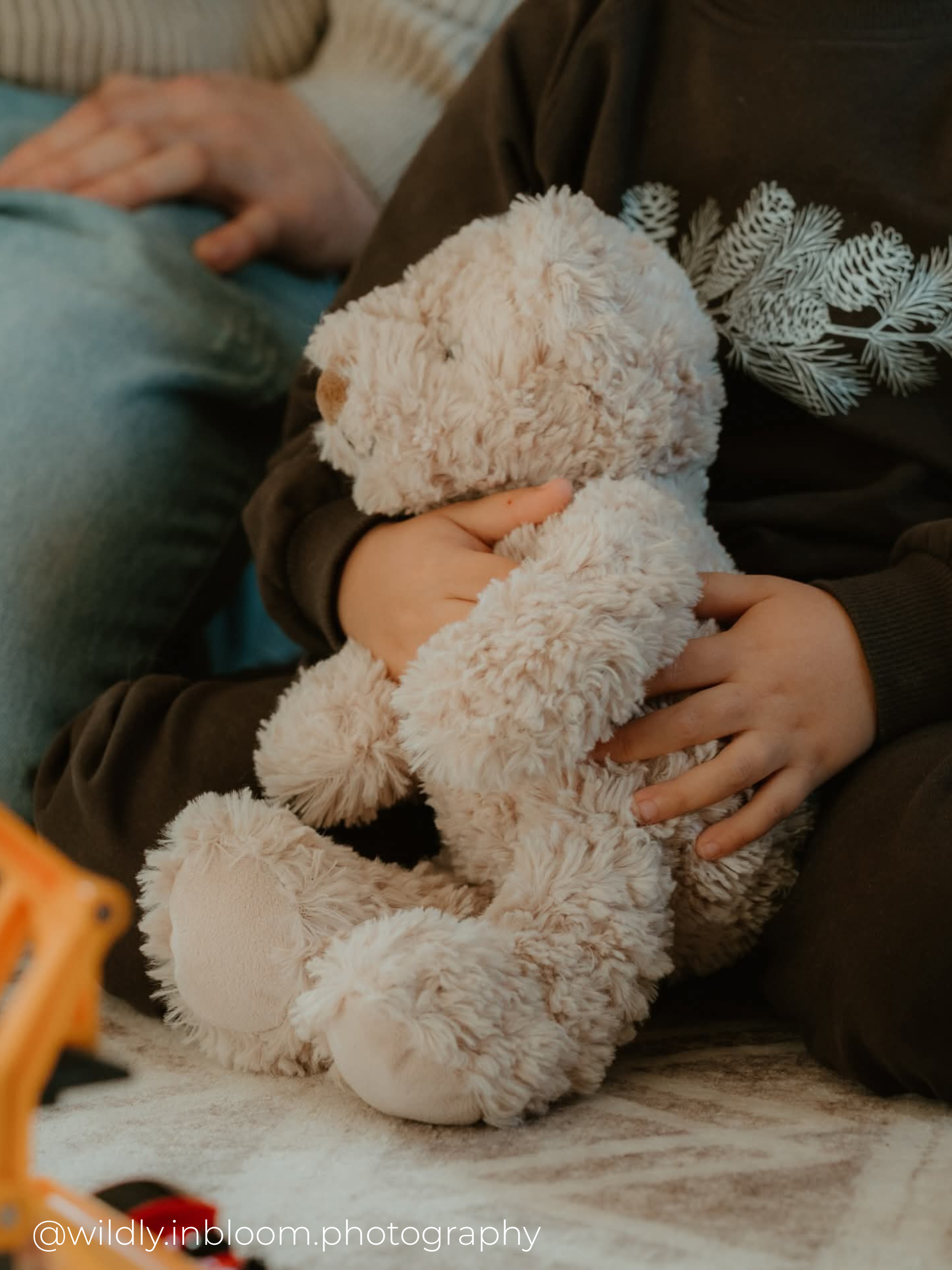 Organic Jogger Set - Smoky Hollow (Pine Edition)